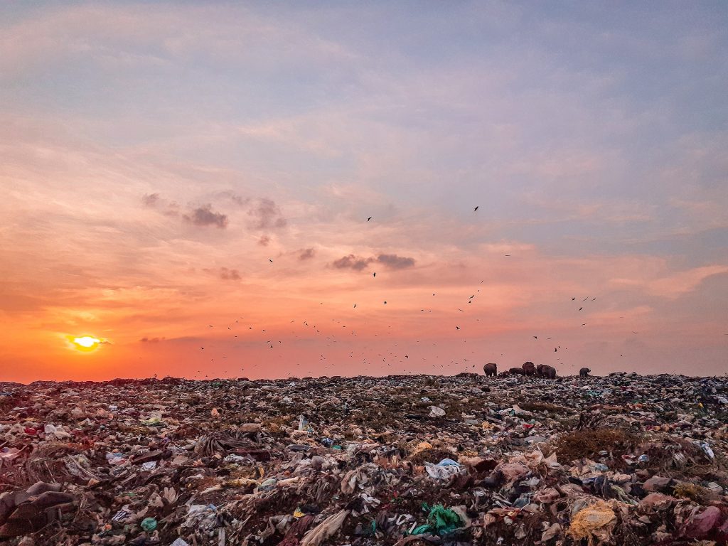 The sun is setting over a garbage dump.