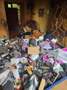 House clearance for hoarded property (before)